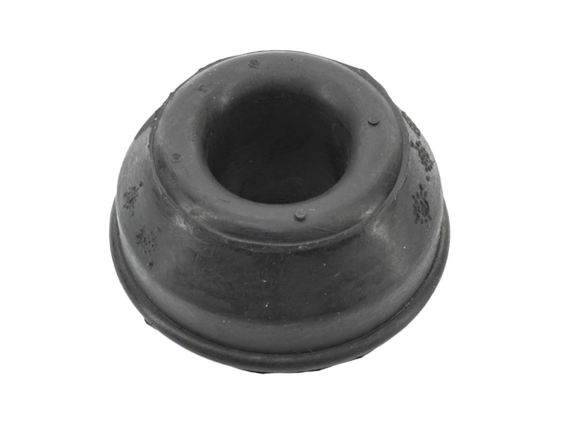 Radius Rod Bushing - Front