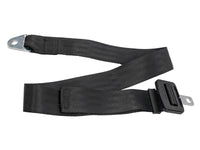 Thumbnail of Seat Belt Buckle with Webbing