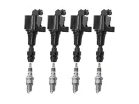 Thumbnail of Ignition Coil and Spark Plug Bundle (GW-EFI)