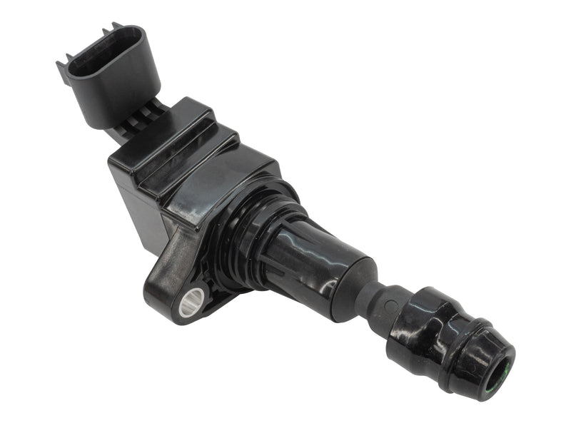 Ignition Coil and Spark Plug Bundle (GW-EFI)