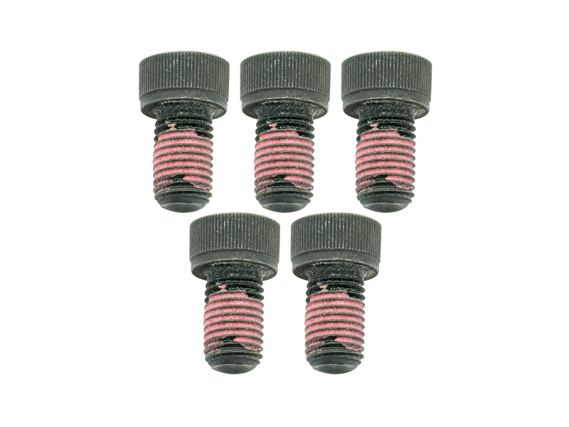 Flywheel & Flexplate Bolt (Pack of 5) [Bus/Vanagon]