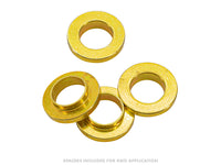 GoWesty Bigger Brake Kit (Front) [Late Vanagon]