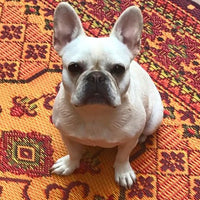 Thumbnail of Recycled Outdoor Mat - Turkish Rust