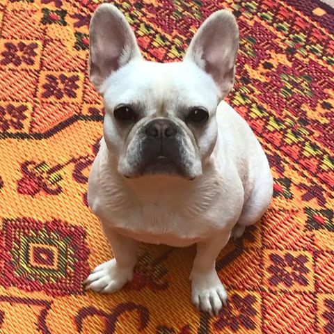 Recycled Outdoor Mat - Turkish Rust