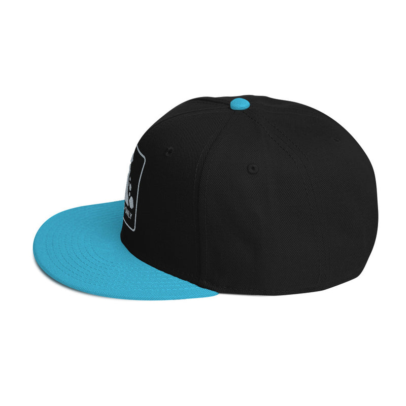 Syncro Only Snapback Hat