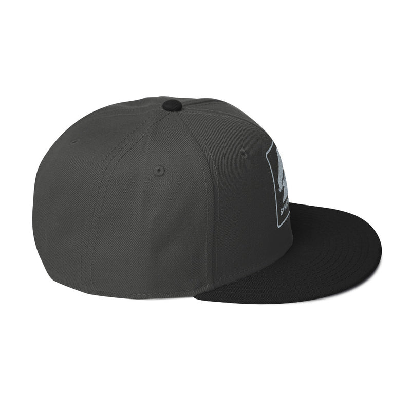 Syncro Only Snapback Hat