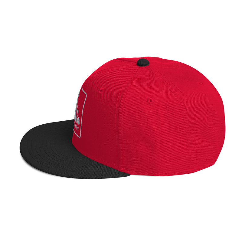 Syncro Only Snapback Hat