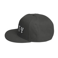 Thumbnail of High Voltage Westy Snapback Hat