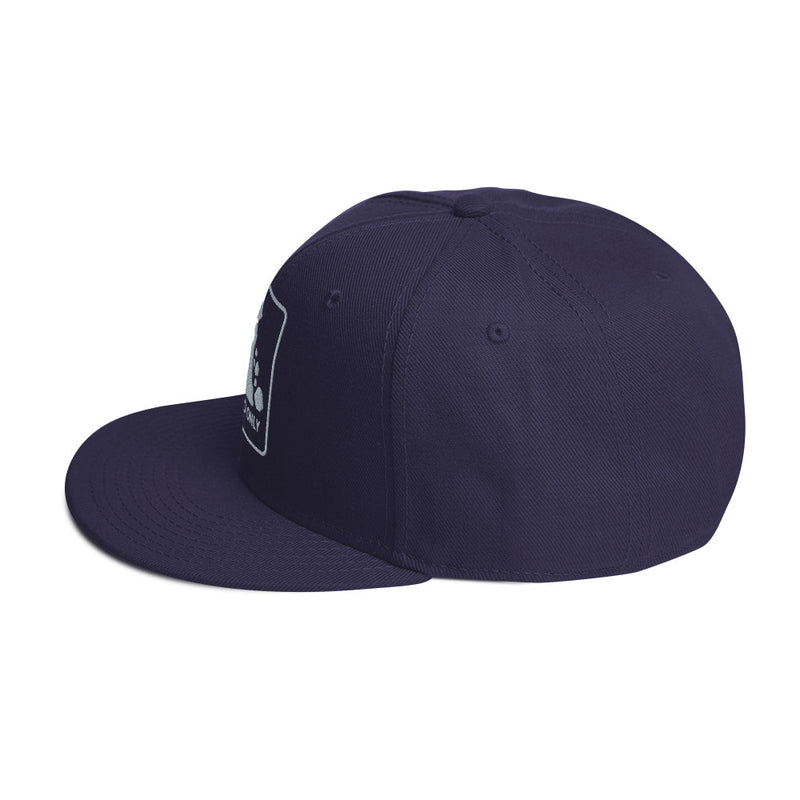 Syncro Only Snapback Hat