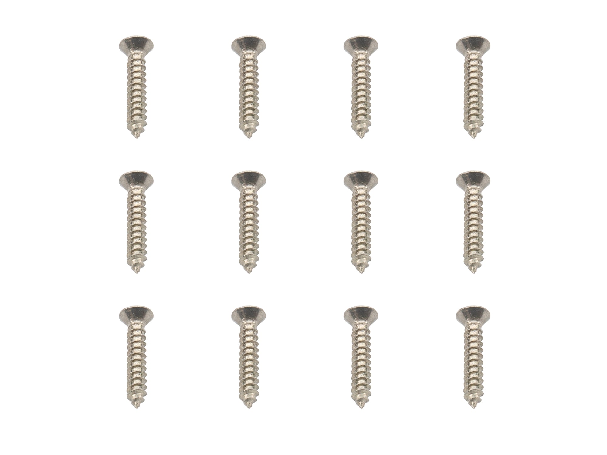 Curtain track screws 12 pack – GoWesty