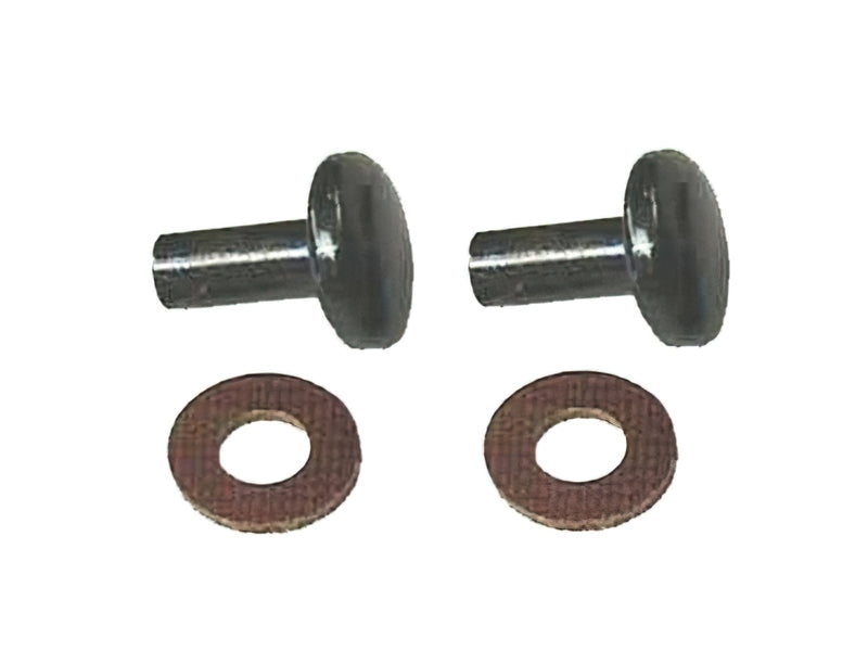 Pin and Washer Set for Vent Window Pivot [Bus]