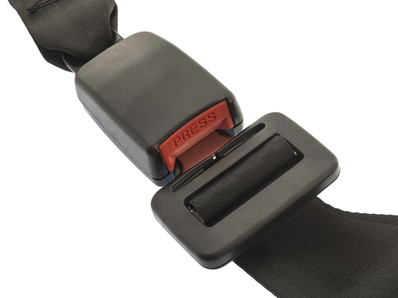 Complete Seat Belt Assembly - Rear Lap